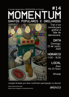 momentum 14 poster